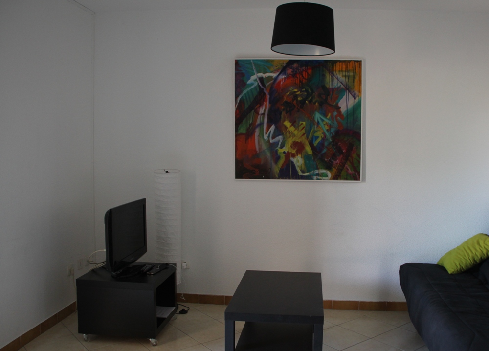 Salon autre vue